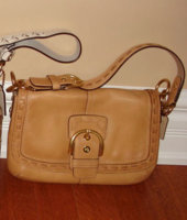 camelflap.jpg
