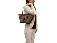 louisvuitton-n51121-4.jpg