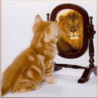 LionMirror.jpg