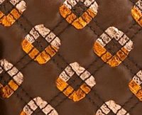 robert jennifer in brown closeup.JPG