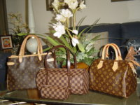 Copy of louis vuitton 059.jpg