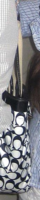 dang-purse.png