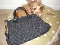 House Items 417 (Small).jpg