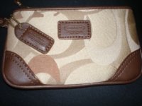 fakewristlet.jpg