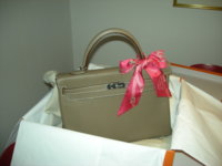 Hermes 20090327 020.JPG