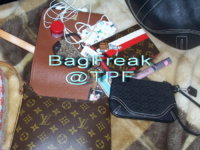 whatsinbag1.jpg