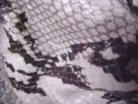 Close 1.JPG