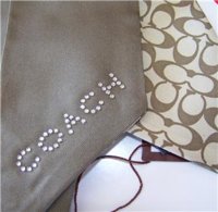 brown scarf.jpg