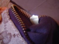dsp_dsc07182.jpg