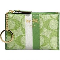 Wallet 42376 Miniskinny green.jpg