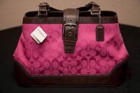 Coach_13020_Hamptons_Carryall_Purse_Tote_silver_mahogany_magenta_400x400_pic1.jpg