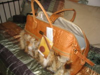 Picture 003.jpg