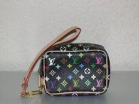 (18) Louis Vuitton Multicolore Wapity Case -320.JPG