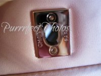pink clasp interior a.JPG