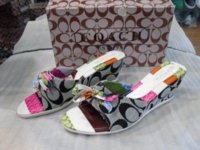 fakeshoes.jpg