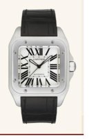CARTIER S100.JPG