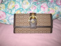 Coach Collection 006.jpg