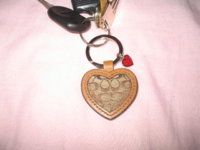 Coach Collection 007.jpg