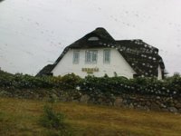 hshop04.jpg