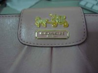 DSC00399.jpg