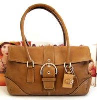 Coach beige 9550 01.jpg