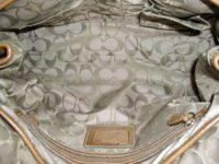 Coach beige 9550 07.jpg