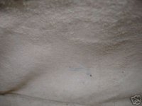 f515_1.JPG