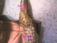 Coach scarf on Botkier TL_cu.jpg