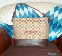 teena's handbags 001 (Small).jpg