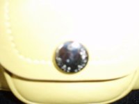 snapbutton.JPG