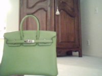 Birkin 005.jpg