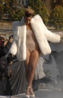 fur1.jpg