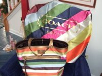 katy tote and legacy square scarf.jpg