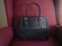 purse pic.jpg