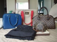 cili_padi LV collection1.jpg