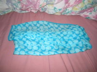Blue Sig Scarf.jpg