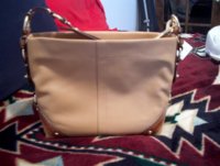 teena's handbags 002 (Small).jpg