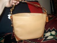 teena's handbags 005 (Small).jpg
