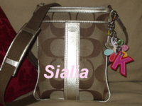 Swingpack with charms 2.jpg