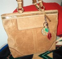 signature suede beaded tote (Small).jpg
