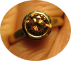 gator_ring.jpg