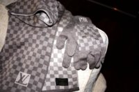 Louis Vuitton Damier Petit Damier Gloves
