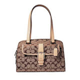 6846 satchel.jpg