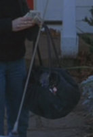 bag6.jpg