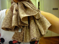 pleat5.jpg