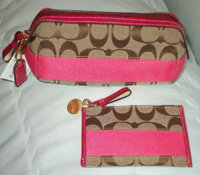 teena's handbags 002.jpg