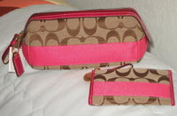 teena's handbags 004.jpg