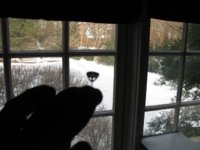 shadow.jpg