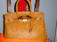 DSC03108.JPG