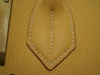 SL731860.JPG